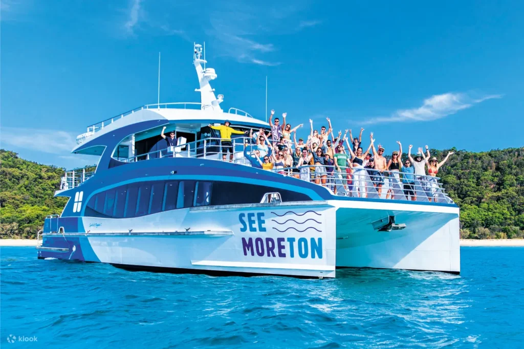 Dolphin & Wreck Snorkelling Cruise from Brisbane and Gold Coast